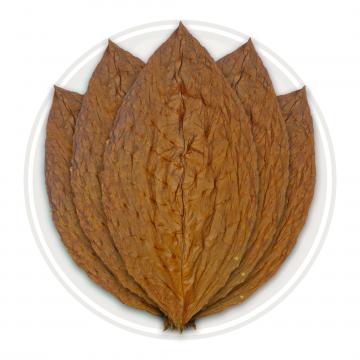 Connecticut Havana Primed Cigar Leaf
